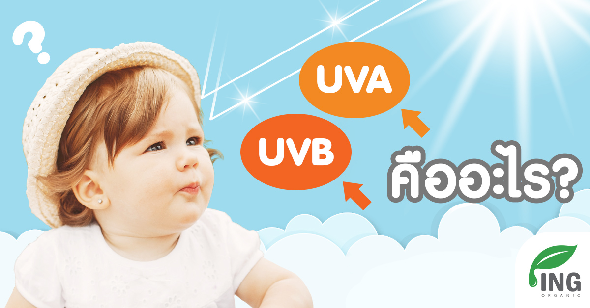 UVA / UVB คืออะไร?